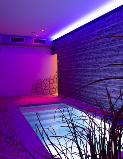 piscine-verticale-dreams